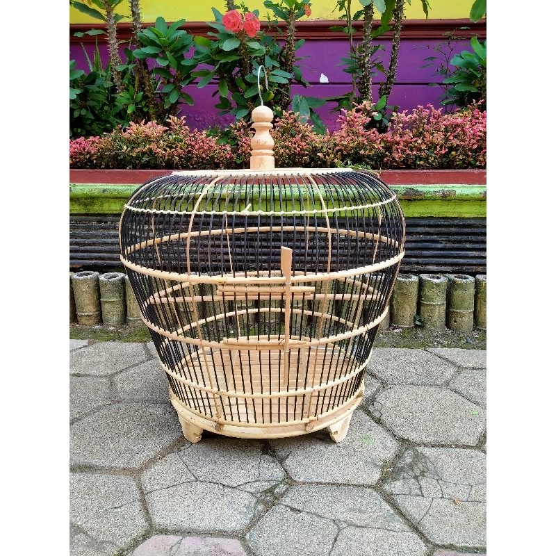 Sangkar Burung Derkuku Sabuk Rotan Jeruji Bambu Hitam