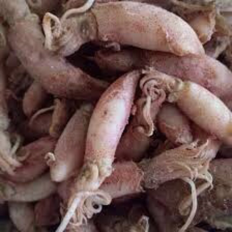 

baby cumi kering kualitas super 250 gr