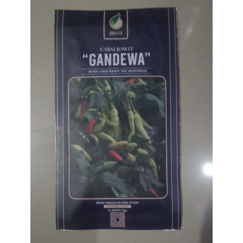 

Benih Cabai rawit GANDEWA isi 10 gram cabai rawit gandewa isi 10 gram cabai rawit gandewa kemasan 10 gram cabe rawit gandewa