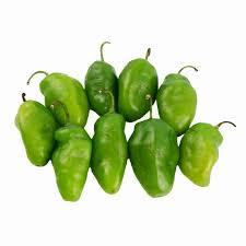 

Tosa SS_Cabe Gendot - 100gr