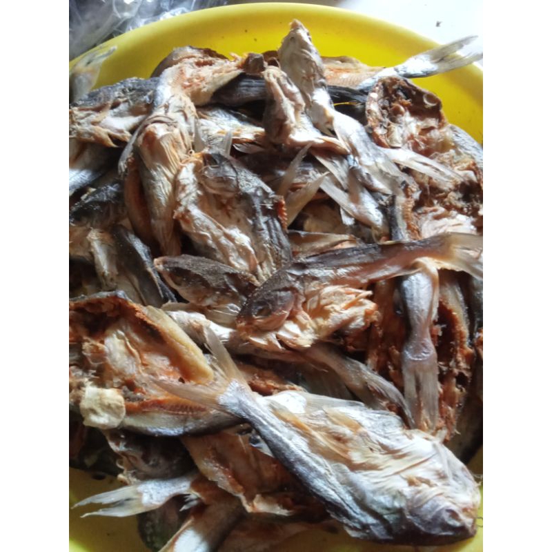 

ikan asin kating