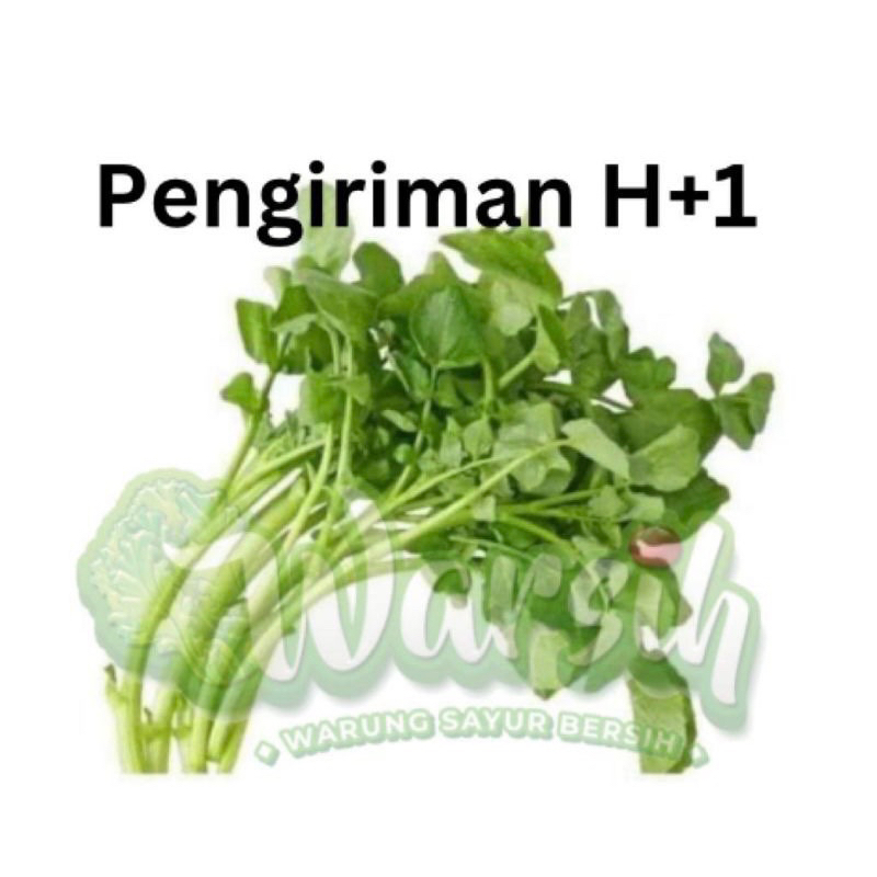 

WARSIH • SELADA AIR 1 IKAT