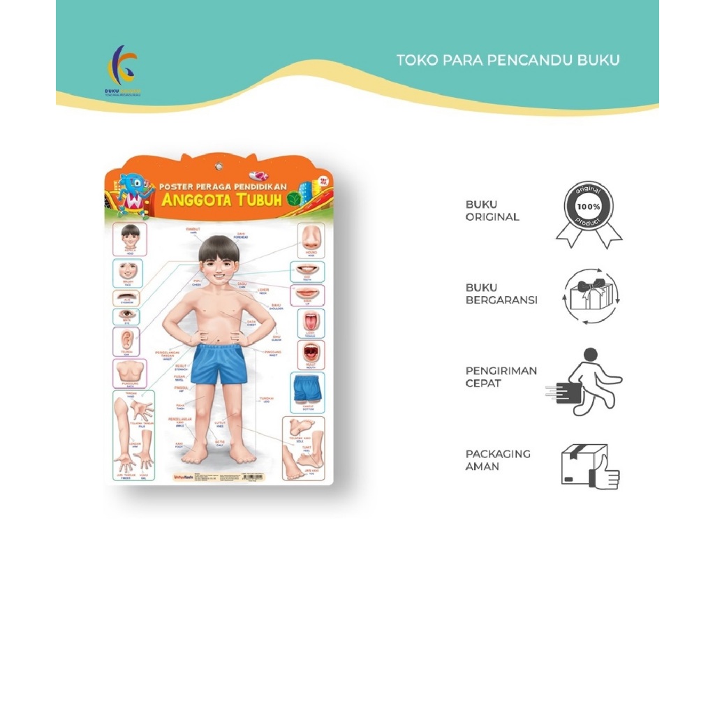 [Promo] - Poster Peraga Pendidikan Anggota Tubuh - Tim Wudi - Wahyu Media - Bumifiksi