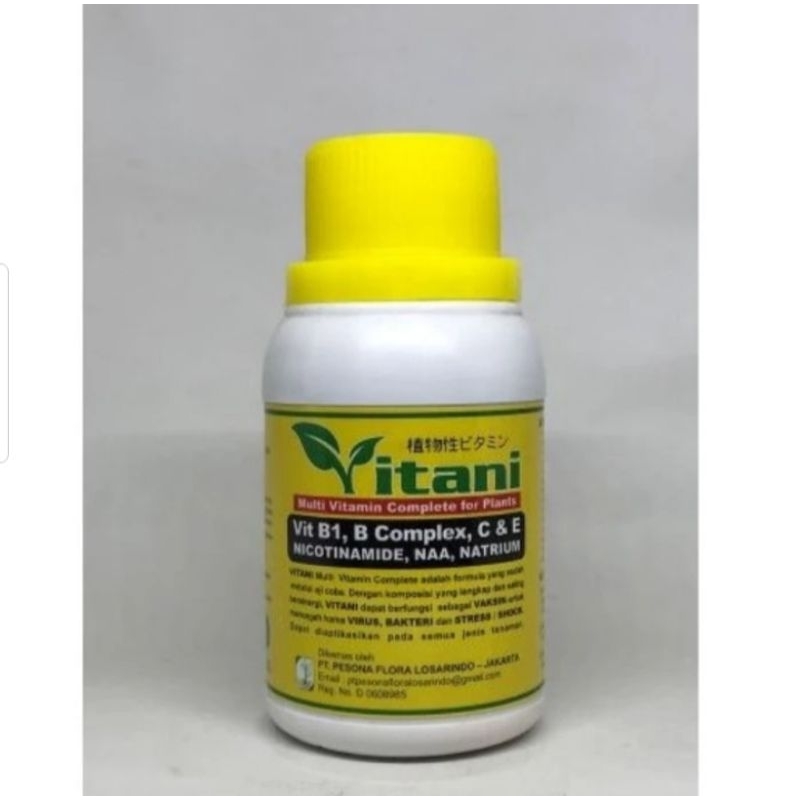 vitamin B1 B complex C E multivitamin VITANI 100ml