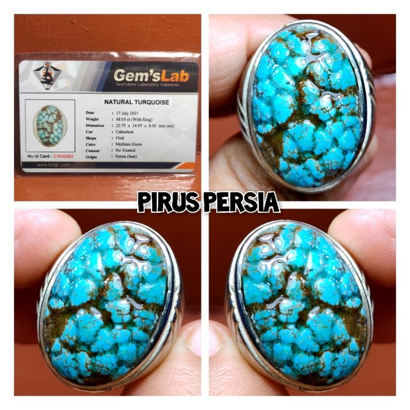 NATURAL PIRUS PERSIA LAWASAN NGERIKIL JUMBO