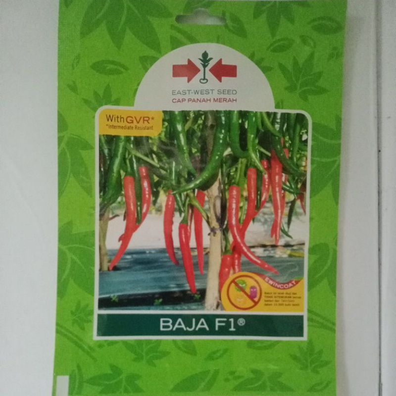 isi 150 butirr Benih Bibit Cabe Merah Besar Baja F1