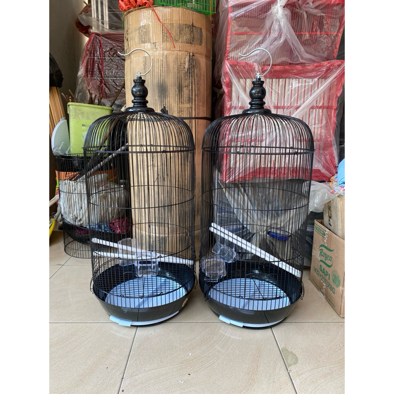 Sangkar octagon pintu bawah