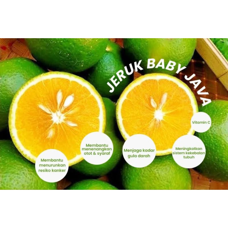 

Jeruk babyjava