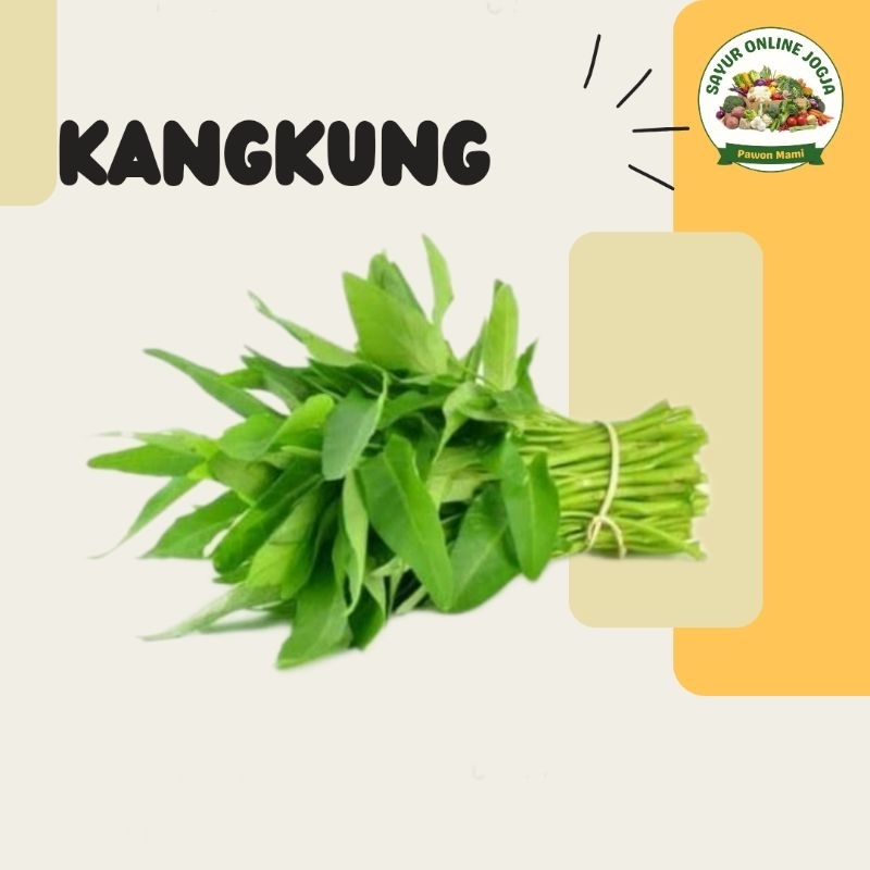 

Kangkung sayur - PAWON MAMI SAYUR ONLINE JOGJA