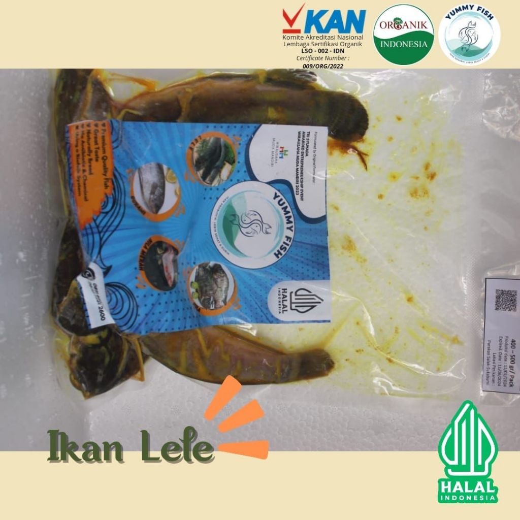 

IKAN LELE BUMBU SEHAT 400 - 500GR YUMMY FISH