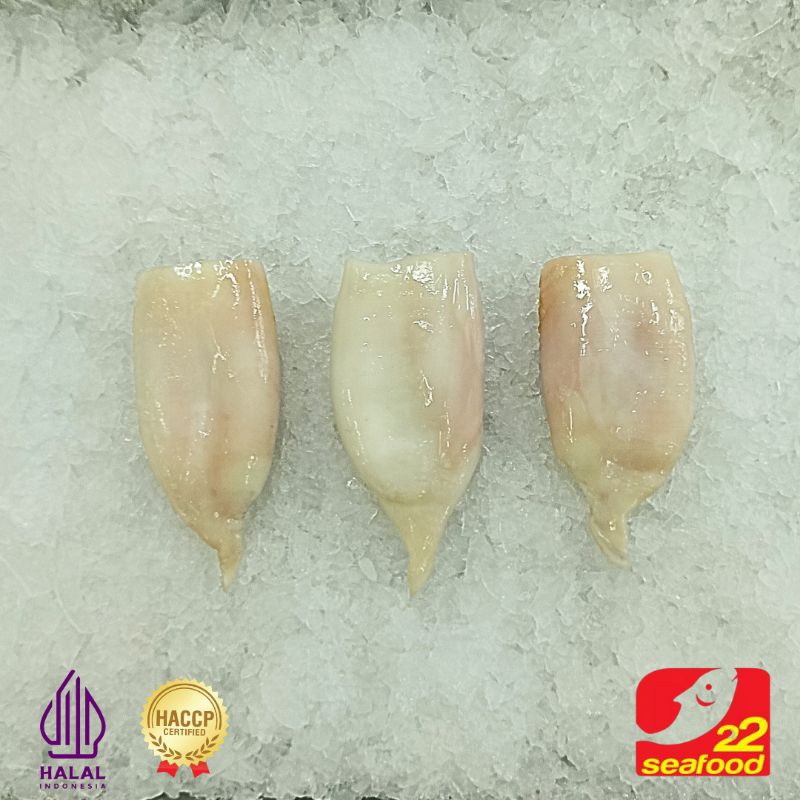 

Cumi Tube 1 Kg Lcl / Seafood 22