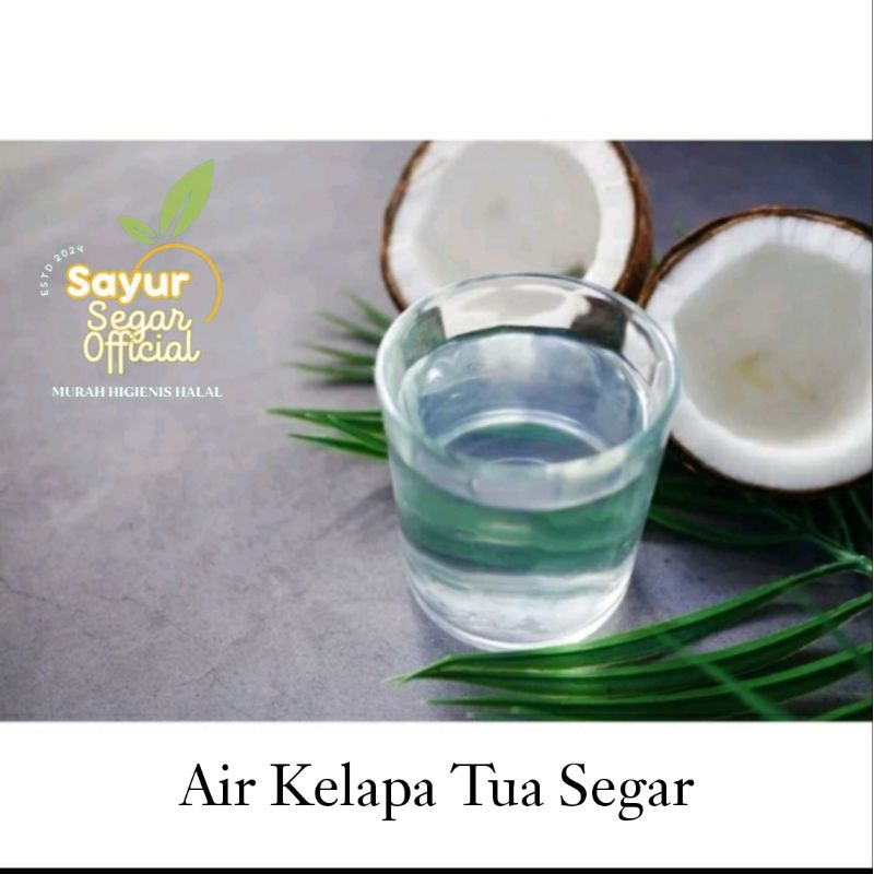 

Air Kelapa Tua Segar per kantong