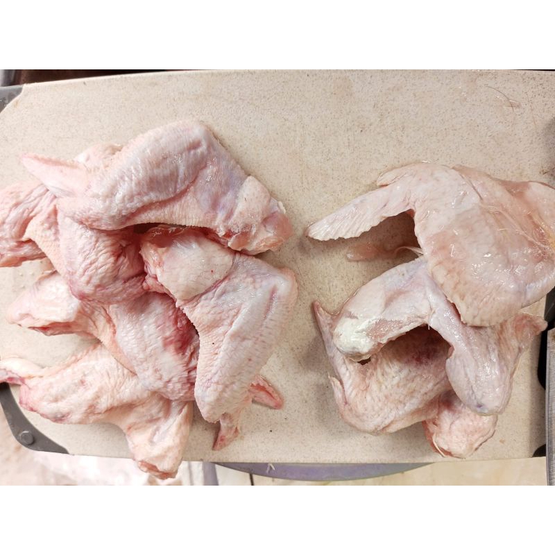 

SAYAP AYAM