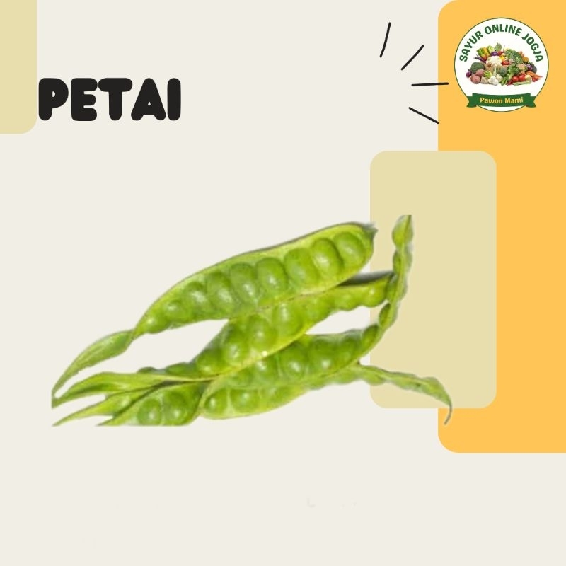 

Petai Pete per papan - PAWON MAMI SAYUR ONLINE JOGJA