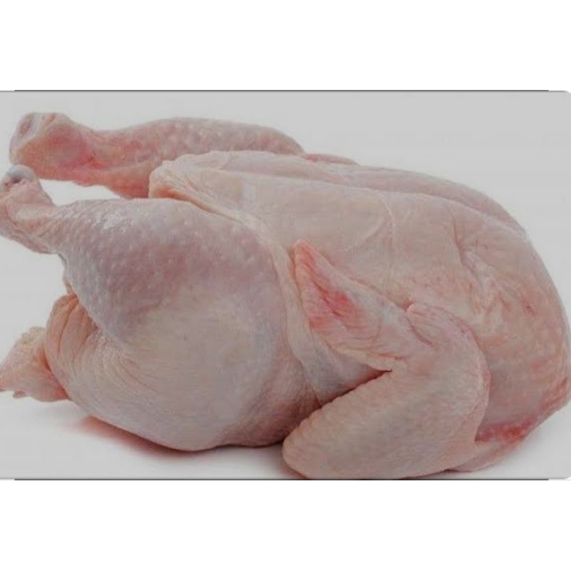 

Ayam Broiler/utuh