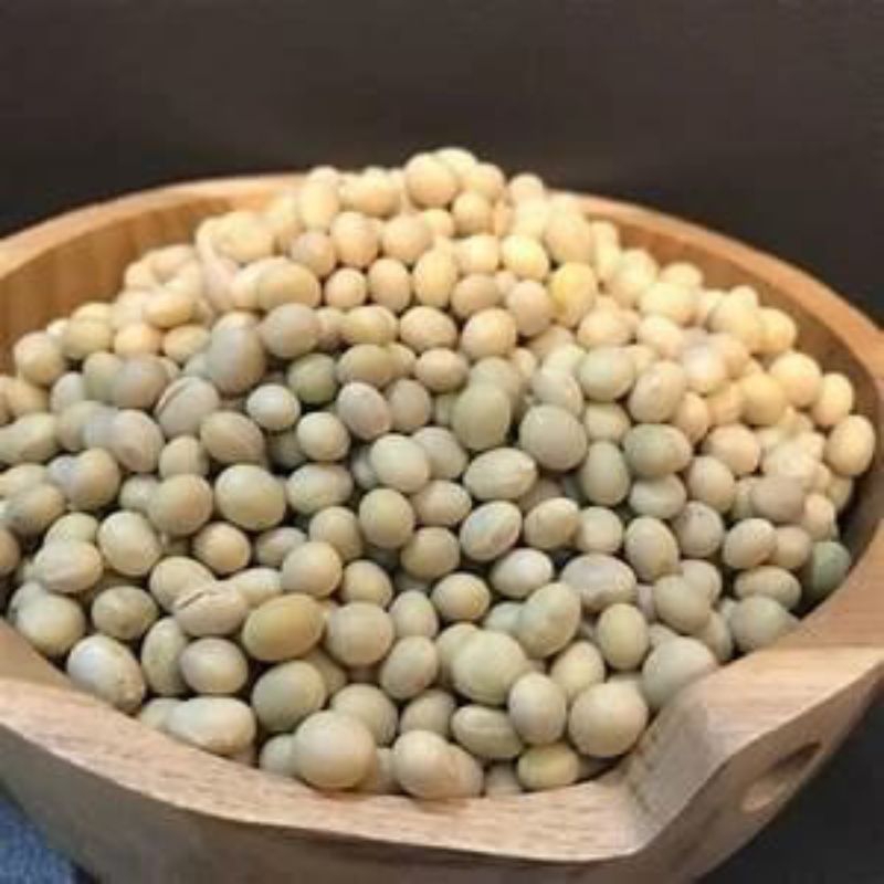

Kacang Kedelai Soya Bean 500 gram