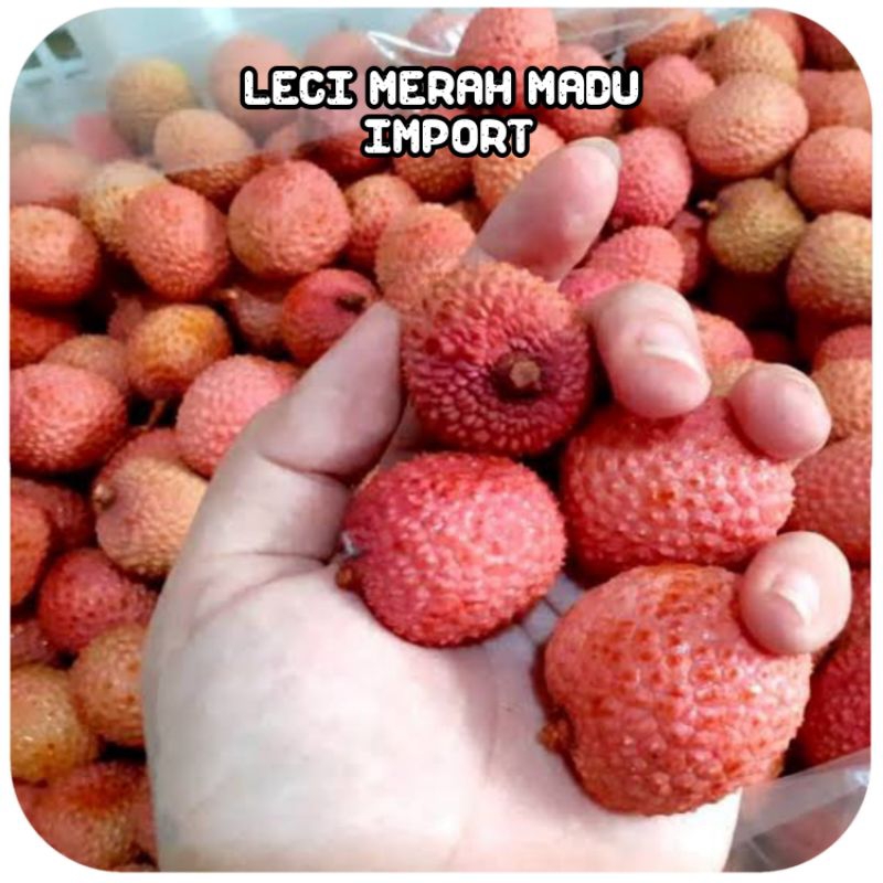 

BUAH LECI MERAH MADU IMPORT 500 GRAM FRESH MANIS