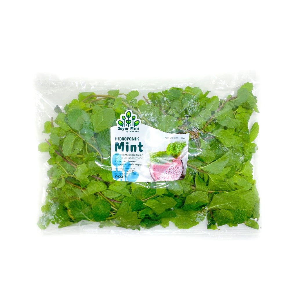 

SAYUR MINI Hidroponik Daun Mint 100gr - Fresh Cut - Hydroponics