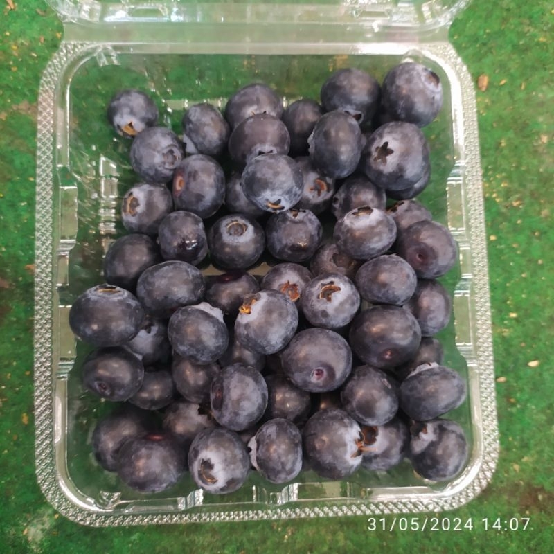 

Blueberry 125gram Segar Fresh Denpasar Bali