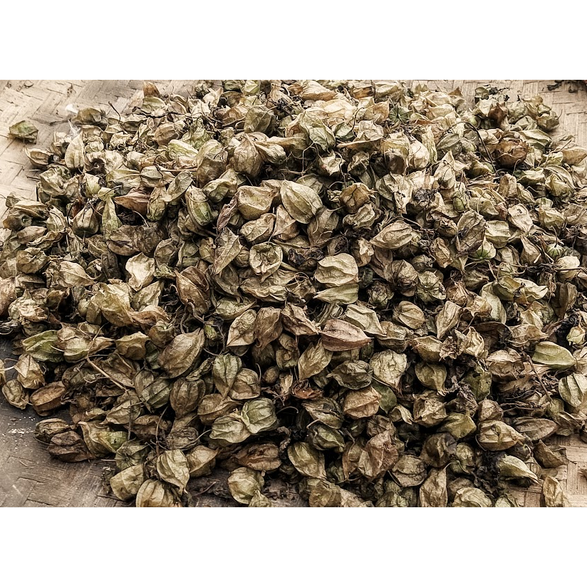 

Buah Ciplukan Kering / Biji Buah Cecendet Kering Alami