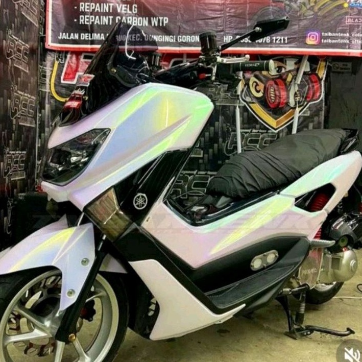 

Best Cat Bunglon Putih Pu Chameleon Green Gold Blue