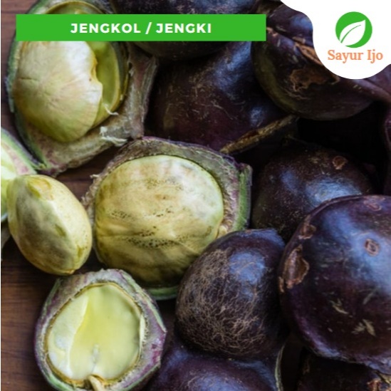 

Jengkol -/+ 230 - 250 Gram Jengki Fresh Jering Sayur Hijau Segar