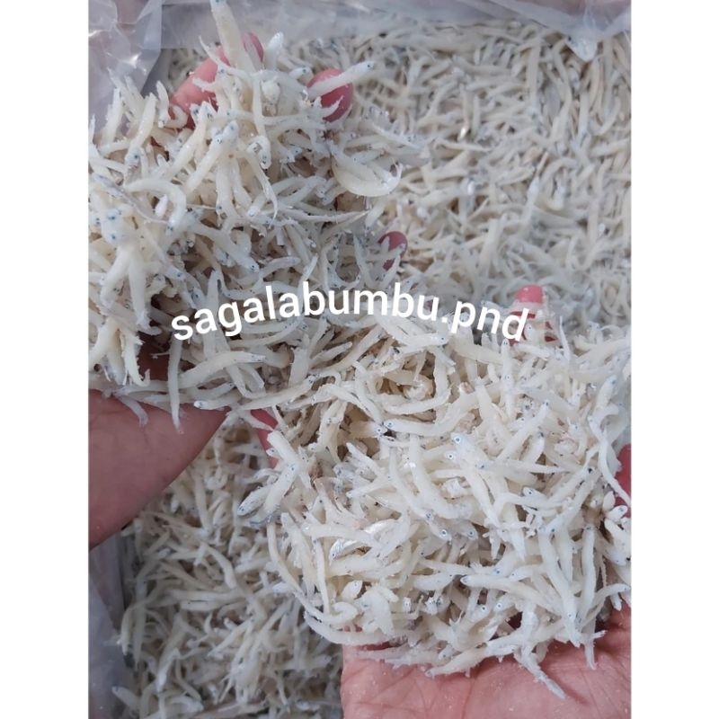 

Teri nasi asli Pangandaran, ikan asin teri nasi teri Medan oleh oleh Pangandaran asin Pangandaran