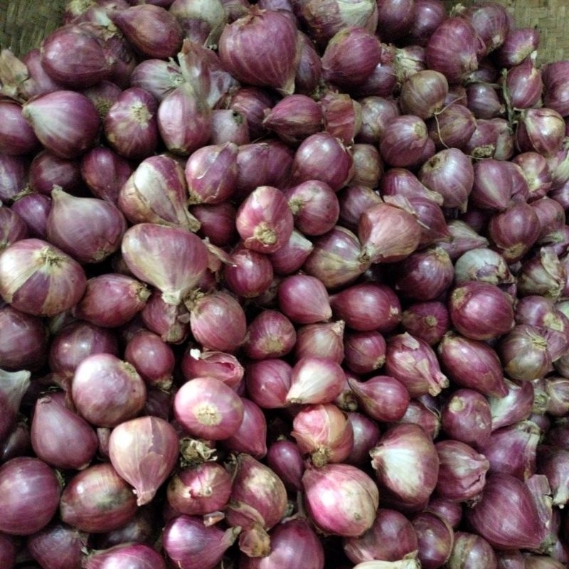 

BAWANG MERAH BESAR 500 GRAM