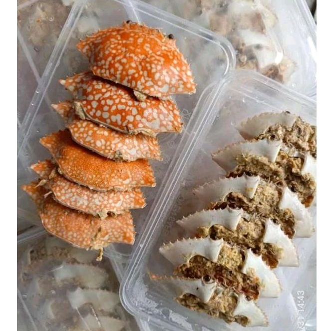 

Ketam Rajungan kepiting