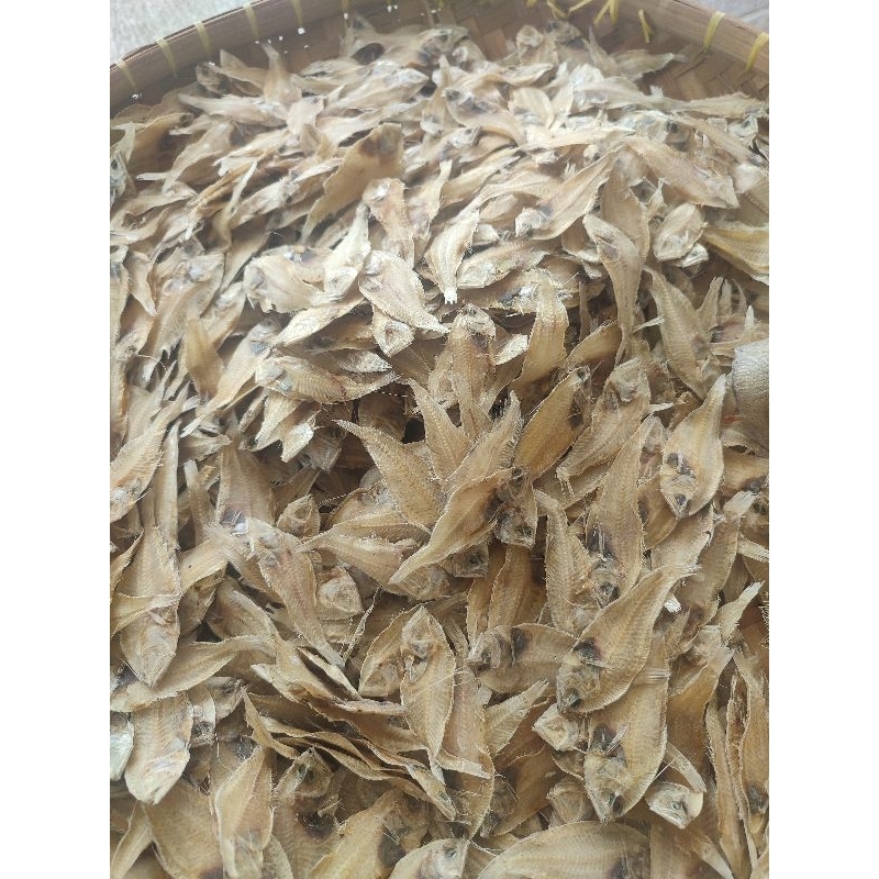 

Ikan Kering Khas MJ Tegal 1 Kg