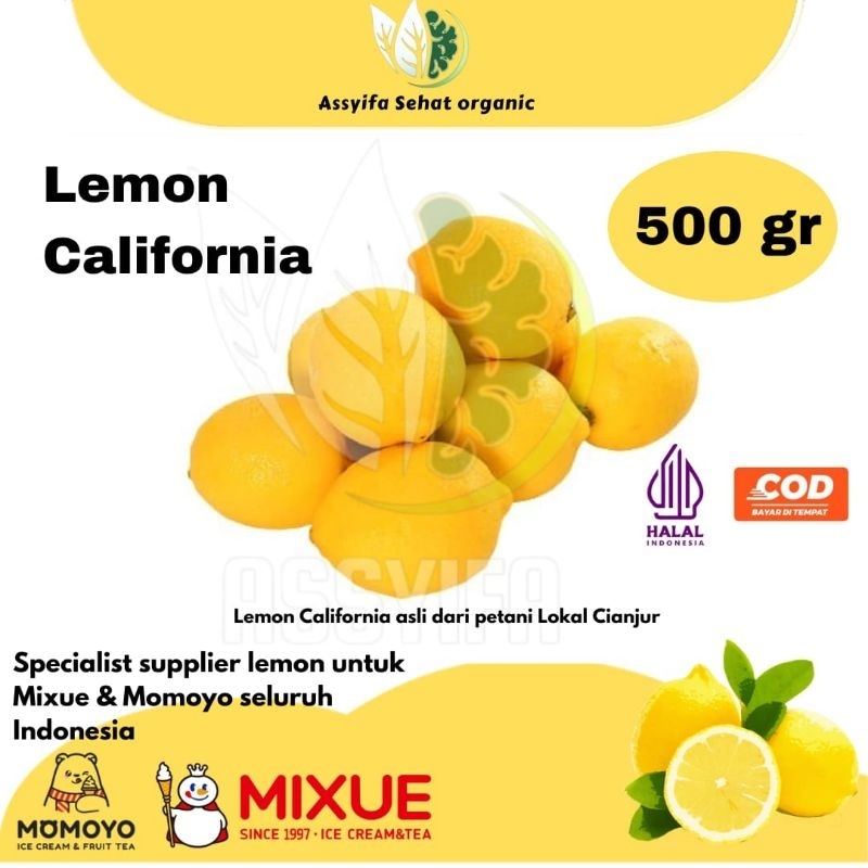 

Lemon California Fresh 500gr | Untuk Diet Detox | Kualitas Terbaik | By Assyifa Sehat Organic