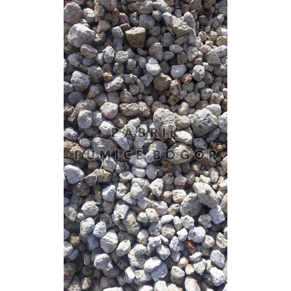 PABRIK PUMICE - BATU APUNG MEDIA TANAM SUKULEN KAKTUS ANGGREK BATU APUNG TERMURAH