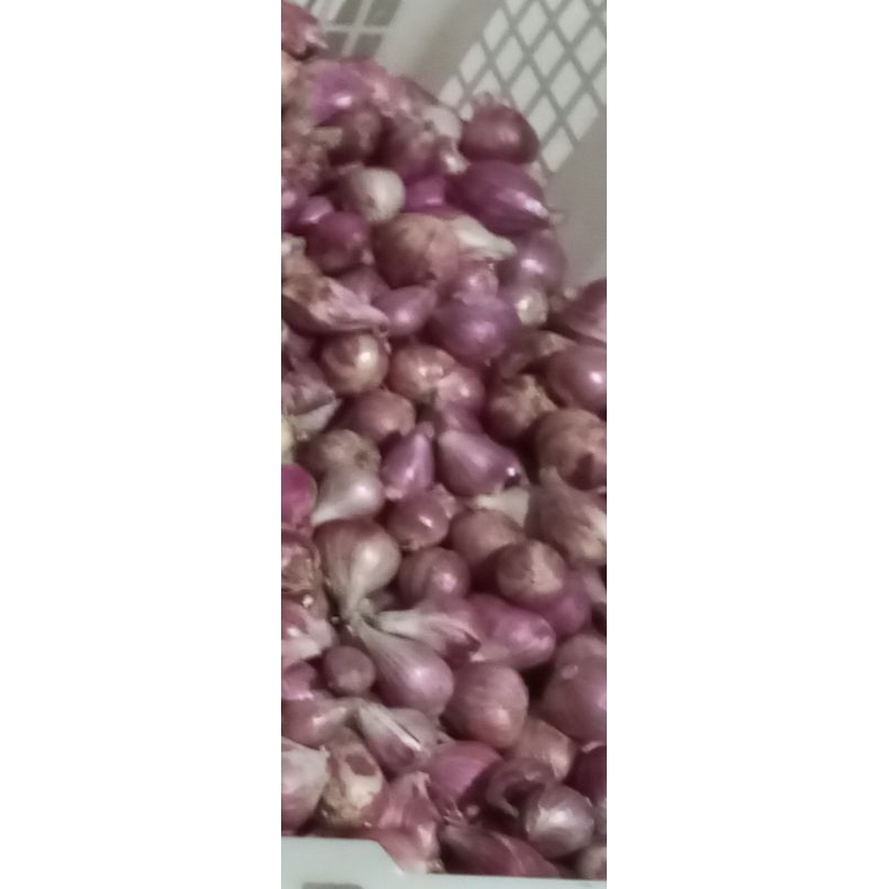 

Bawang Merah