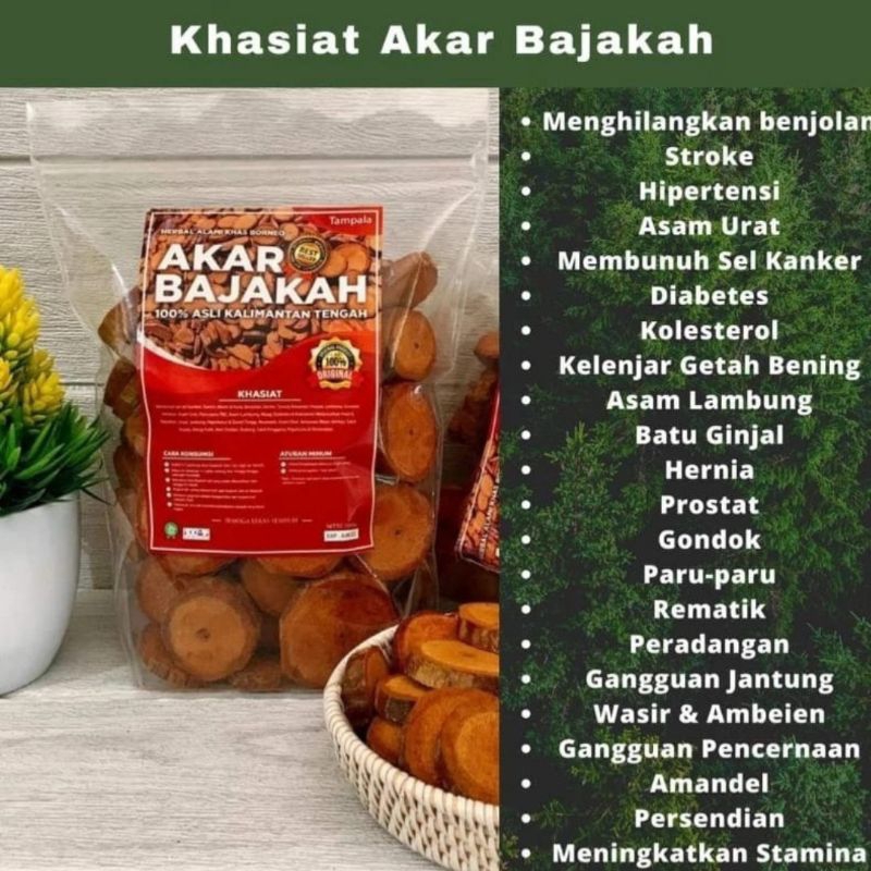 akar bajakah merah asli kalimantan Original