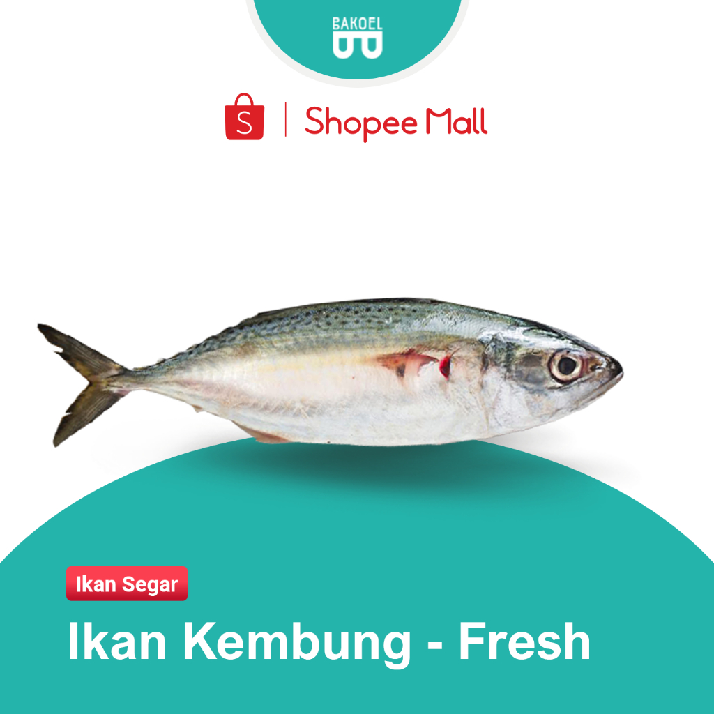 

Ikan Kembung Segar