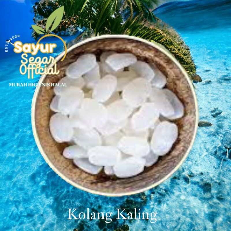 

Kolang Kaling Segar 500gr
