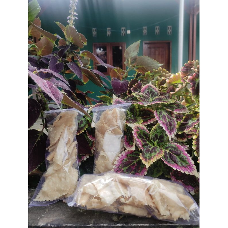 

Pangsit Goreng Mafrl