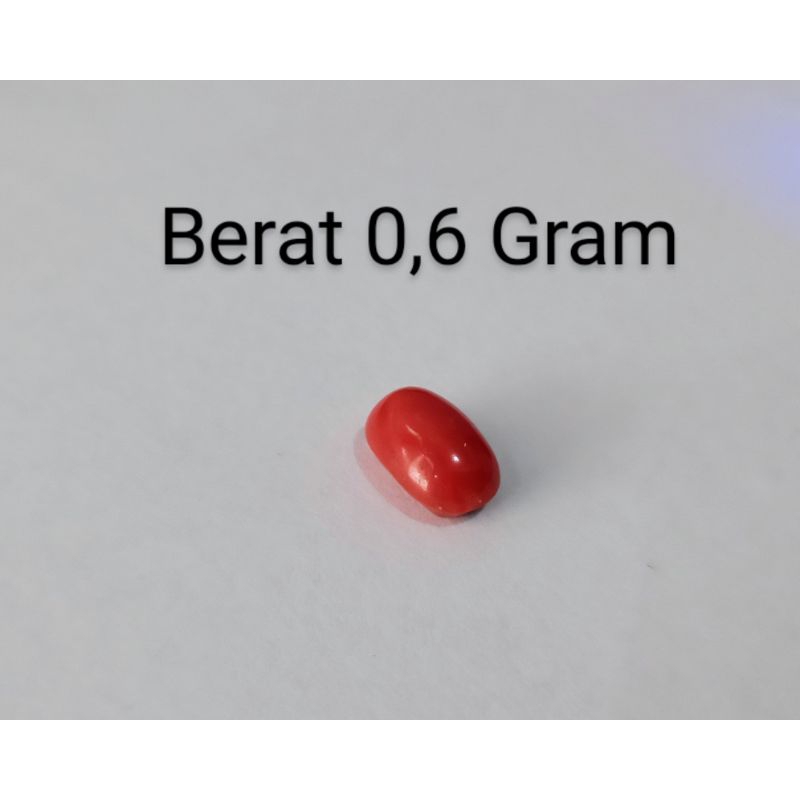 Marjan Tunisia ( Mediterania ) 0,6 Gram