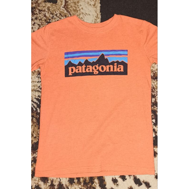 Preloved Kaos Patagonia Anak