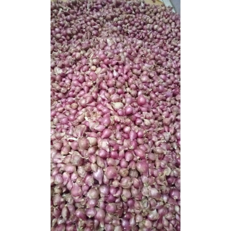 

BAWANG MERAH UKURAN SEDANG 1 kg