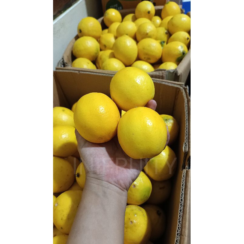 

LEMON CALIFORNIA KUALITAS TERBAIK KULIT MULUS 500gr