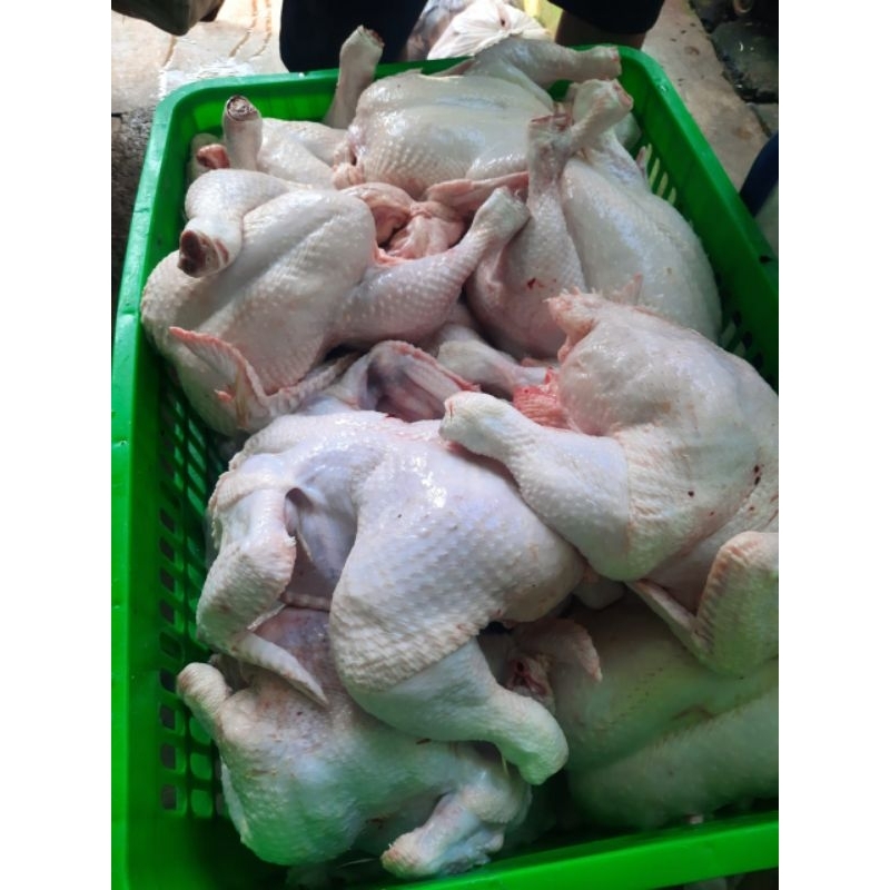 

daging ayam fresh murah 250gr/500gr