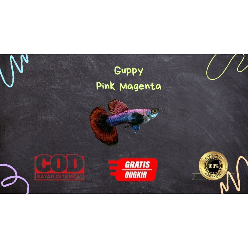 

Packing kardus / styrofoam gupp¥ pink magent4