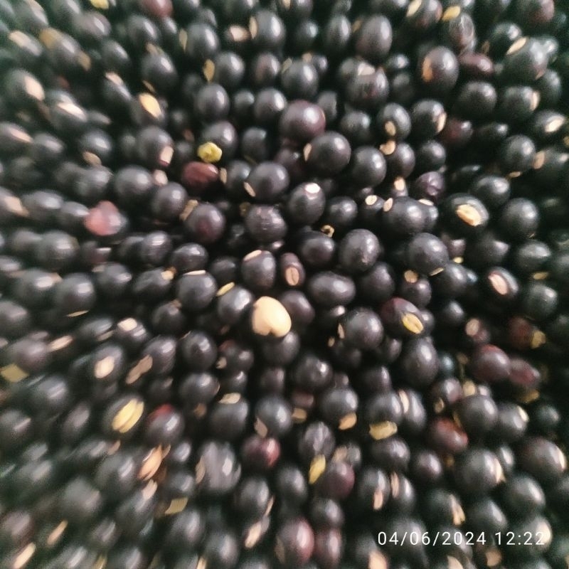 

Kacang undis Kering / Gude Bali 500gram Asli Denpasar Bali