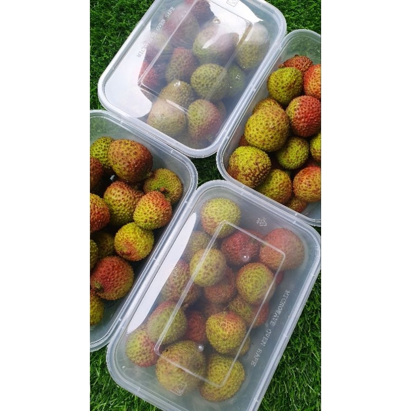 

leci madu