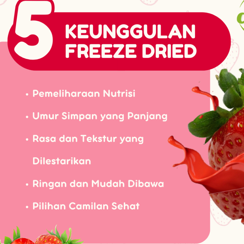 

QH Snack Buah Strawberry Kering - Freeze Dried Strawberry - Cemilan Sehat Strawberry Kering -