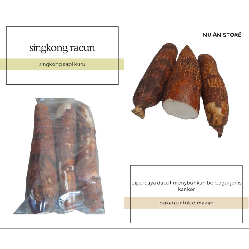 

SINGKONG RACUN,SINGKONG SAPI KURU ATAU SINGKONG GENEREWO UNTUK PENGOBATAN KANKER 1KG