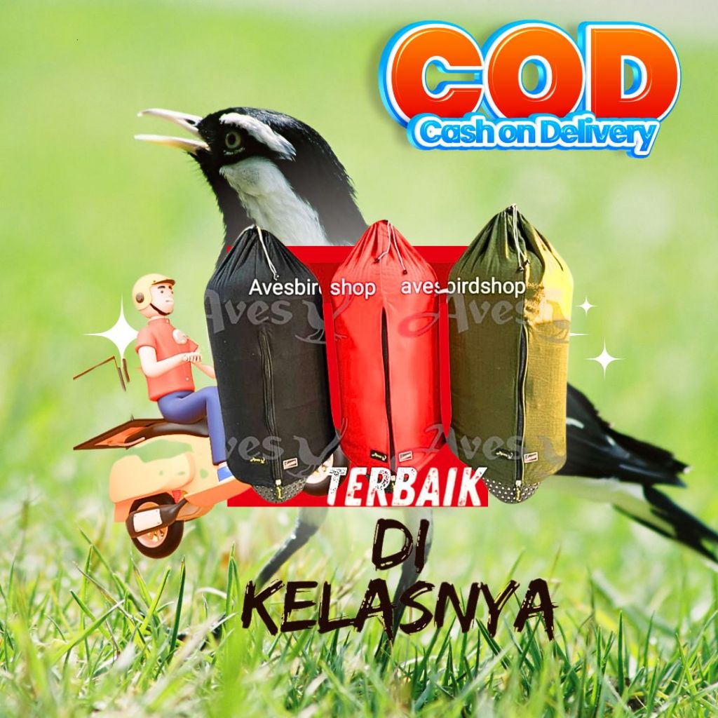 krodong lovebird kerodong burung lovebird krodong aves sangkar lovebird kerodong lovebird aves