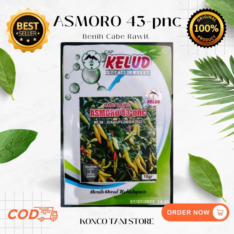 BENIH CABE RAWIT ASMORO