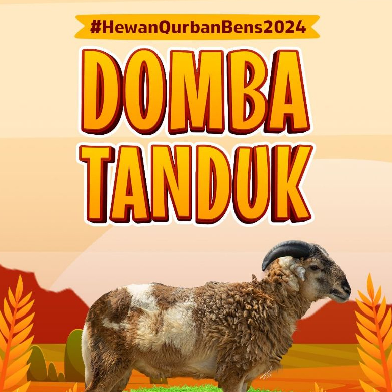 Bens Farm - Domba Jantan Tanduk Qurban